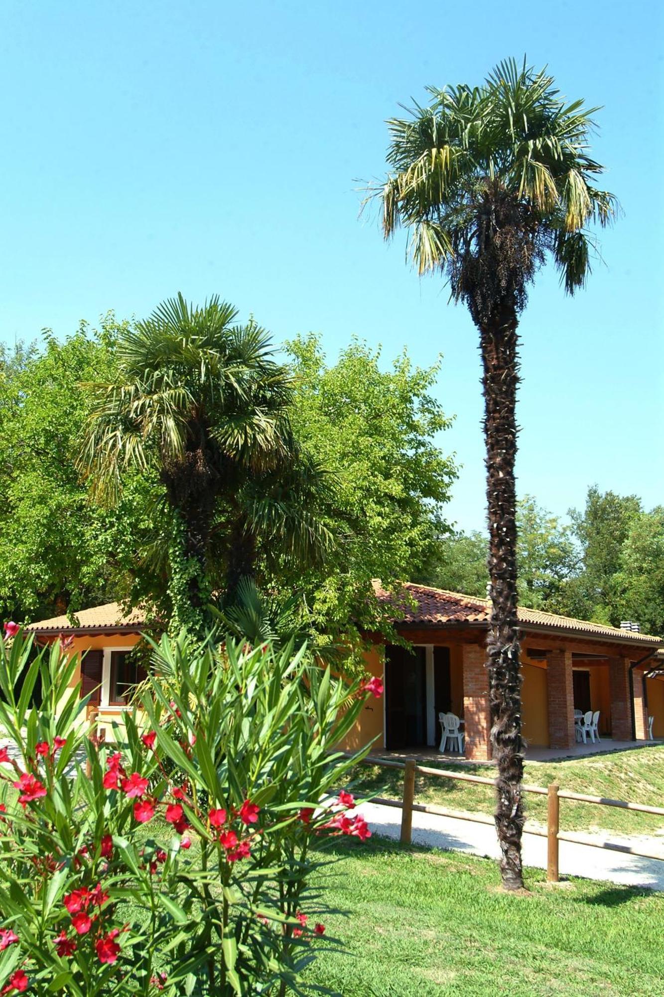 Camping Zocco Manerba del Garda Exterior foto